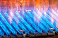 Dyffryn Cellwen gas fired boilers